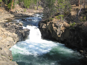 �J���t�H���j�A�̊y���ݕ�