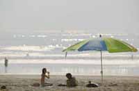 �����T���[���X�����e�@�탁�[�J�[�����ʐڊJ�Ì���I�� �����ʐړ����F�Q����{�\��I