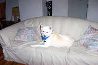 ���d���̓��e�ɂ��Ă����������������B